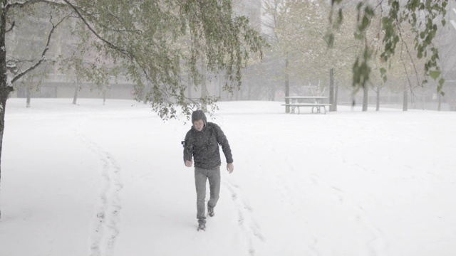 一个DOP在下雪的冬天拍摄的照片视频素材