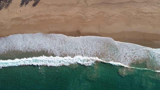 鲸鱼海滩，悉尼澳大利亚航空视频素材