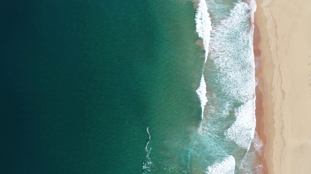 鲸鱼海滩，悉尼澳大利亚航空视频素材