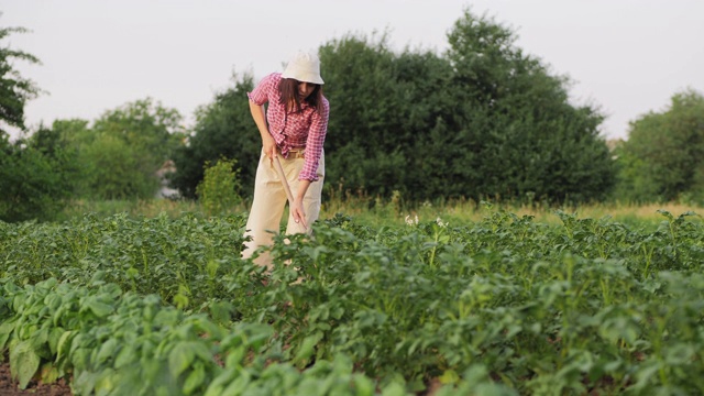 一位妇女在菜园里除草视频素材