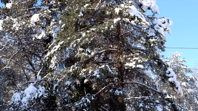 缆车滑雪升降机视频素材