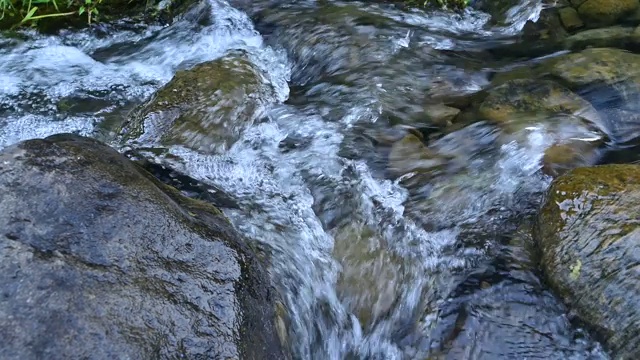 河水湍急，河水淙淙视频素材