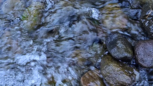 水在河边流过岩石的近景视频素材