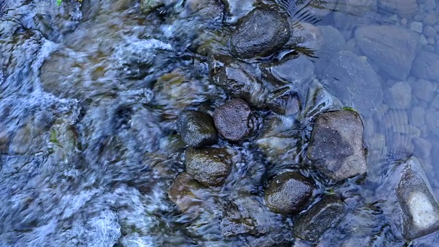 河水流动近观视频素材