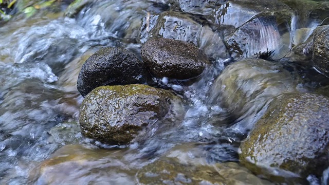 河水流动近观视频素材