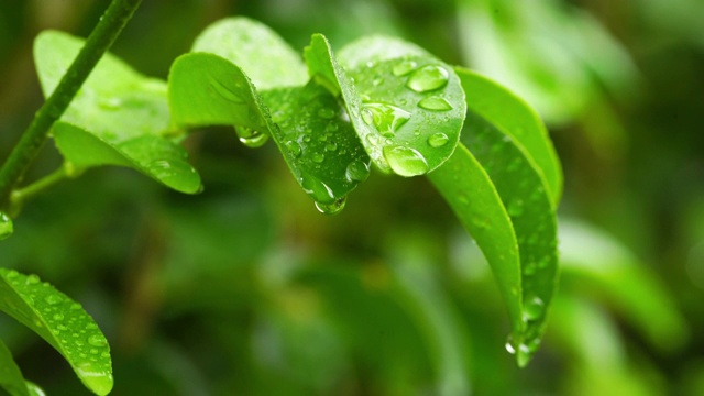 雨天的风景视频素材