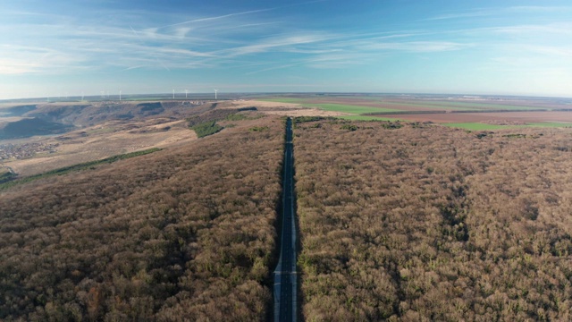 秋天的森林与道路和汽车视频素材