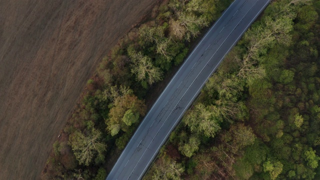 顶视图与秋天的森林，空的道路没有汽车视频素材