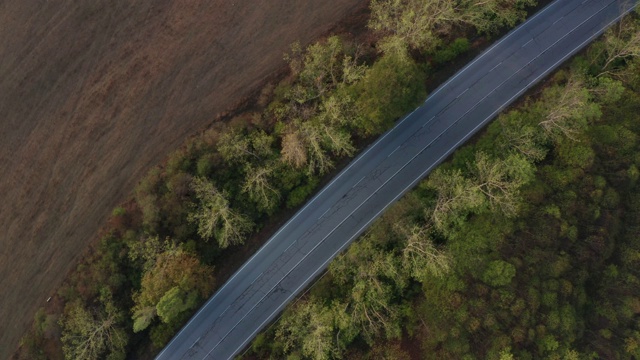 顶视图与道路和汽车的秋天森林视频素材