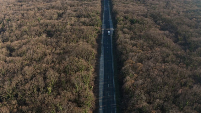 秋天的森林与道路和汽车视频下载