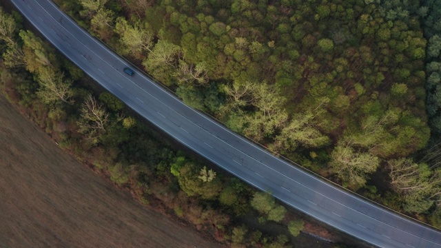 顶视图与道路和汽车的秋天森林视频素材