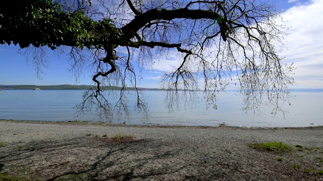 橡树湖畔，康斯坦茨，博登西，Baden-Württemberg，德国视频素材