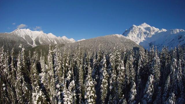 上升的空中摄影揭示了标志性的华盛顿风景如画的山峰视频素材