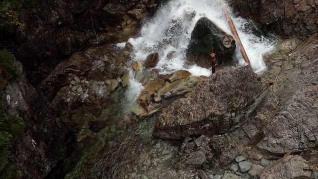 山河在绿色森林附近流淌。在喀尔巴阡游览乌克兰的自然风光。视频素材