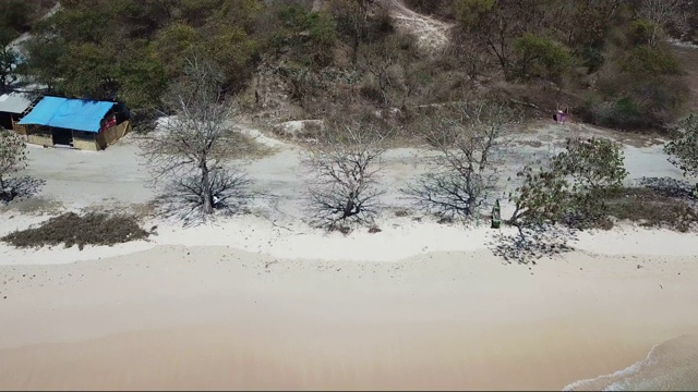 一架从上到下的无人机拍摄的印度尼西亚龙目岛上的粉色海滩。海是平静的，闪耀着许多深浅不一的蓝色。大自然的美。未遭破坏的,隐藏的宝石。一些树木沿着海岸线生长视频素材