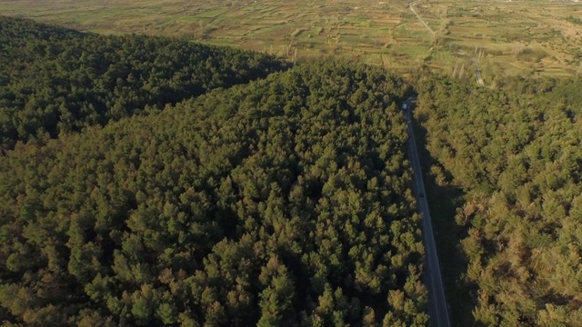 天空中绿树成荫的道路上，无人机在高速公路上向前飞行。克罗地亚的拉扎纳克视频素材