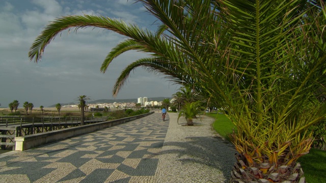 葡萄牙Figueira da Foz，一名男子在公园里对着天空骑自行车视频素材