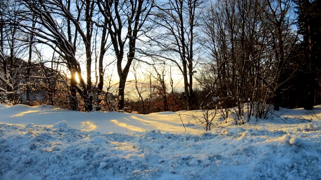 令人惊叹的北欧冬季景观与雪山森林树木在日落视频素材