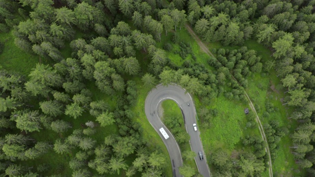 意大利Dolomites，空中封锁拍摄在绿树林中道路上的车辆，无人机在森林上空飞行视频素材