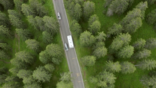 航拍车辆在绿树林中的道路上，无人机飞越森林- Dolomites，意大利视频素材