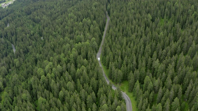 空中拍摄的巴士在绿树林中的道路上，无人机飞过森林景观- Dolomites，意大利视频素材