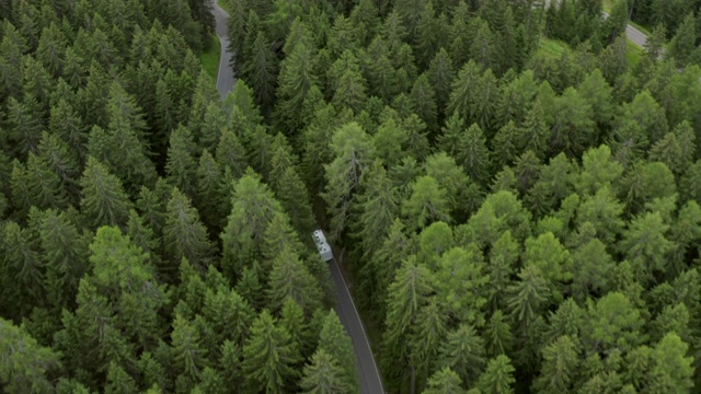 空中拍摄的巴士在公路上绿树成荫的林地，无人机飞过森林景观- Dolomites，意大利视频素材