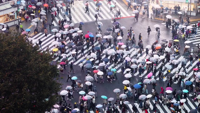 日本东京涩谷渡口视频素材