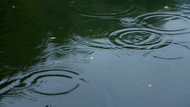 2 .雨滴落入水中视频素材