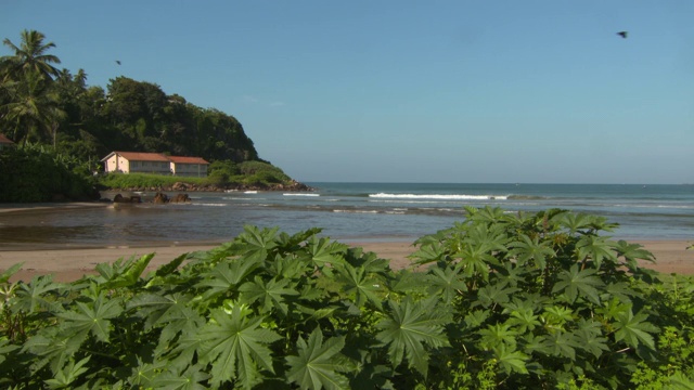 在阳光明媚的日子里，从海滩上飞过的鸟的平移镜头-斯里兰卡的阿鲁甘湾视频素材