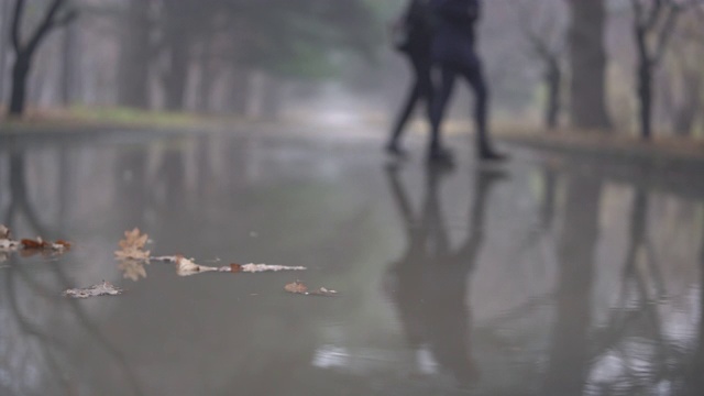 秋雨过后的小巷在秋天的人行道上泛起水坑。视频素材