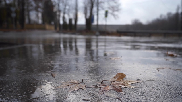 下雨天，落叶落在潮湿的沥青上。汽车开过水坑视频素材