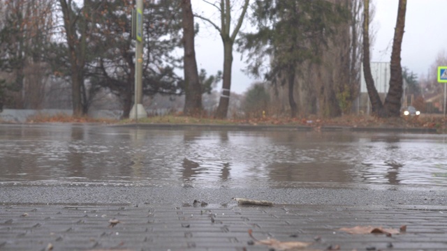 秋天的雨天，城市交通在潮湿的道路上行驶，汽车驶过一个车轮溅起水花的水坑。视频素材