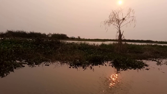 Bueng Borapet沼泽和日出视频素材