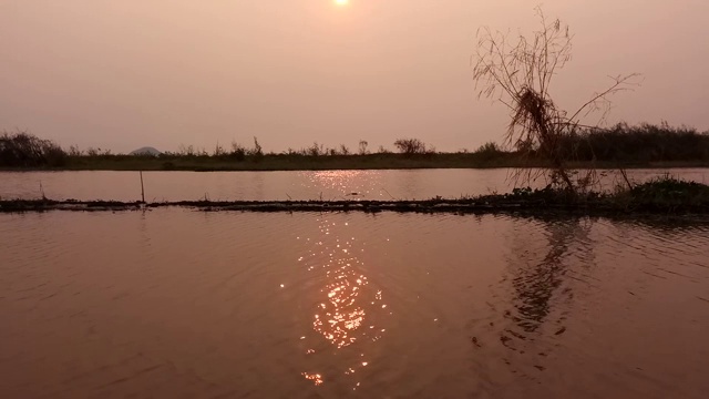 Bueng Borapet沼泽和日出视频素材