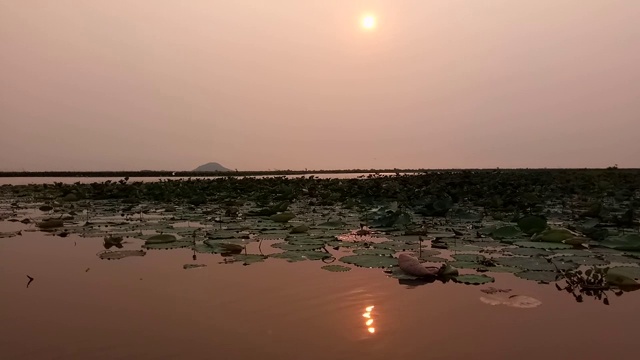 Bueng Borapet与日出视频素材