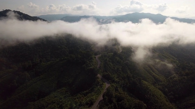 鸟瞰图上，山路上，绿树成荫视频素材