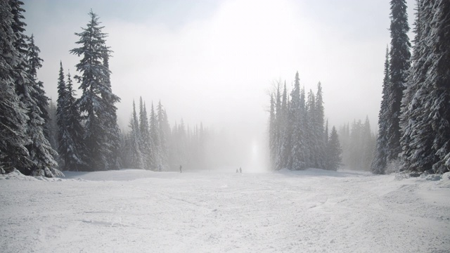 迷雾滑雪场上的滑雪者和单板滑雪者视频素材