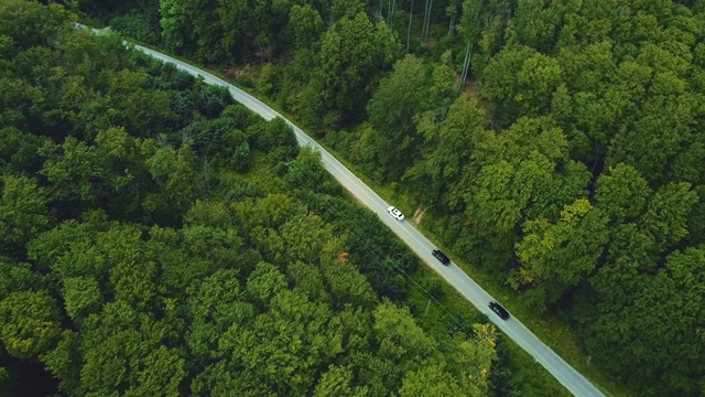 鸟瞰道路在清新的绿色林地环境在春季。视频素材