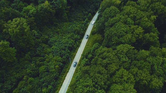 鸟瞰道路在清新的绿色林地环境在春季。视频素材