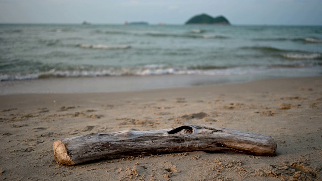 海滩岸边以波浪和岛屿为背景的大块浮木或圆木。视频素材