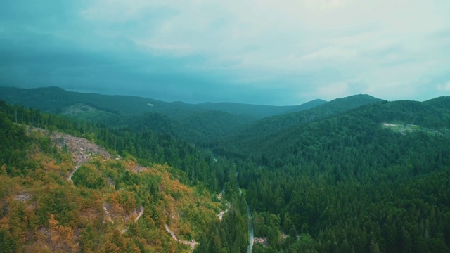 山景:山间公路上覆盖着常青的松林。视频素材