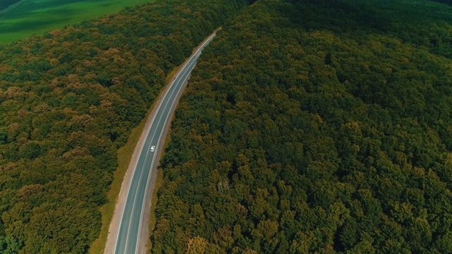 无人机飞过老森林道路与汽车移动，绿树茂密的树林两侧生长。视频素材