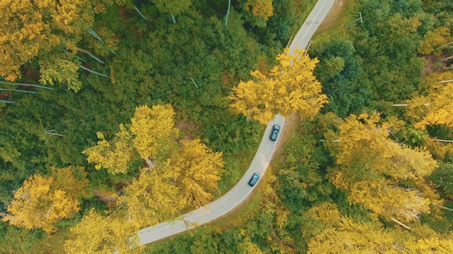 空中拍摄的视频显示，汽车在蜿蜒的道路上行驶，穿过秋天的森林，树梢呈绿色和黄色。视频素材