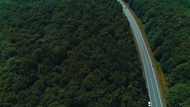 空中拍摄的视频显示，汽车沿着蜿蜒的道路穿过绿树成荫的森林。视频素材