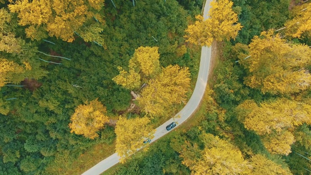 空中拍摄的视频显示，汽车在蜿蜒的道路上行驶，穿过秋天的森林，树梢呈绿色和黄色。视频素材