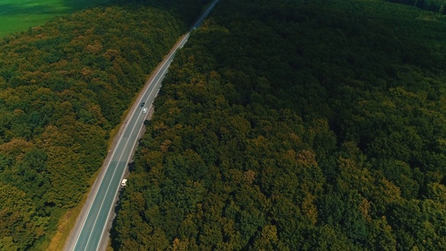 无人机飞过老森林道路与汽车移动，绿树茂密的树林两侧生长。视频素材