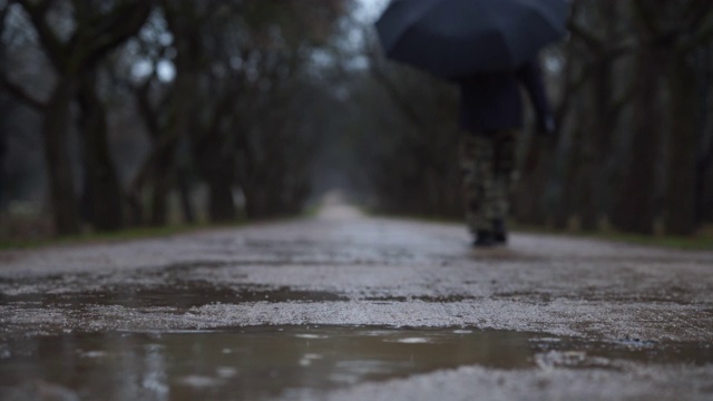 女人撑着伞走在下雨的公园小路上，树木光秃秃的视频素材