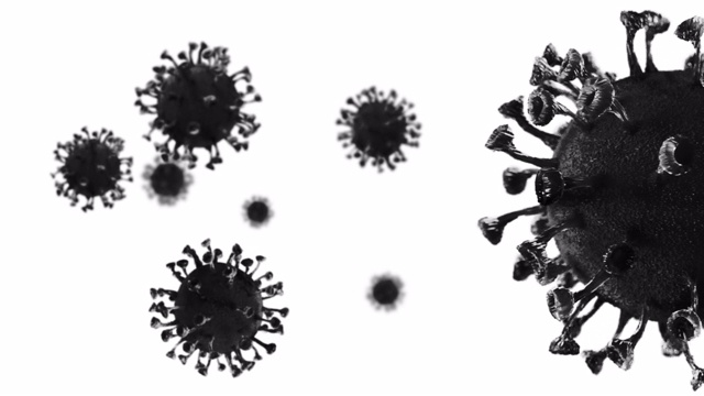 Corona病毒3D逼真渲染-黑色和白色视频下载