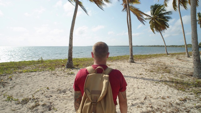 在空旷的海滩上沿着棕榈树行走的男子旅行者视频素材