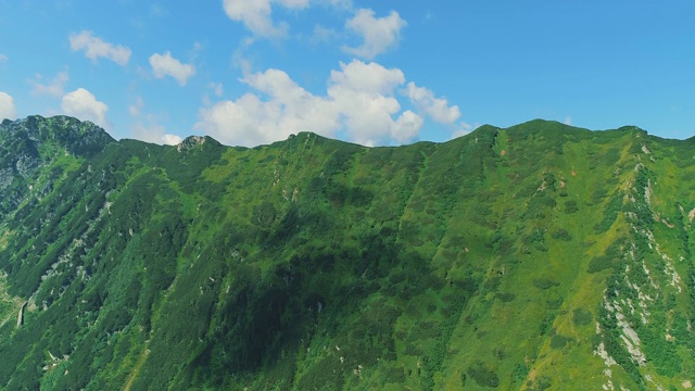 飞行在绿色的森林和山脉与清晰的云景背景在柔和的光。视频素材